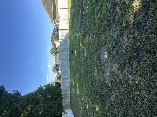 Backyard fence looking grey and weathered with green growth before soft washing
